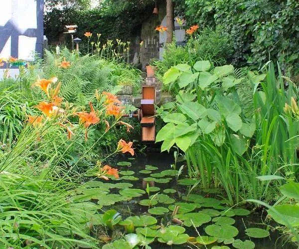 Alte Pfarre شقة *